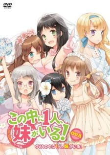 Kono Naka ni Hitori, Imouto ga Iru!: Ani, Imouto, Koibito